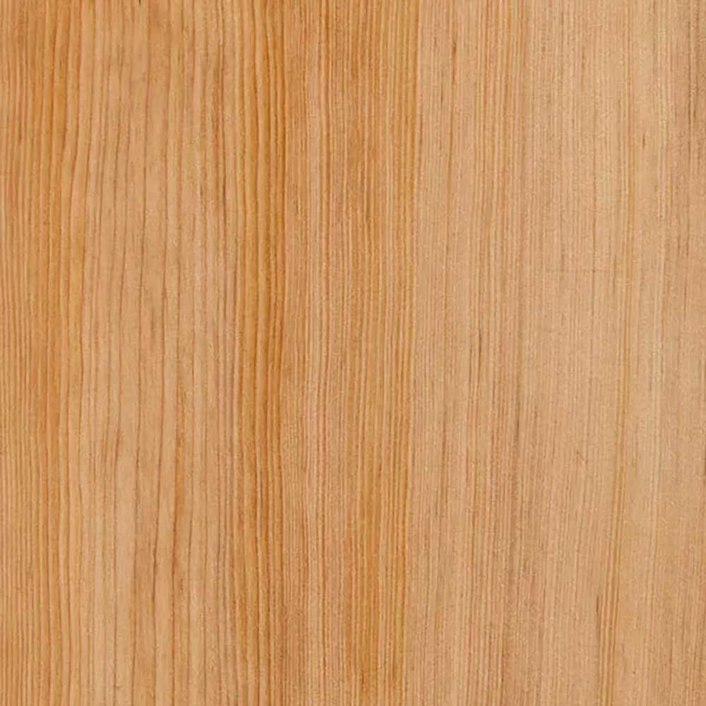 hemlock