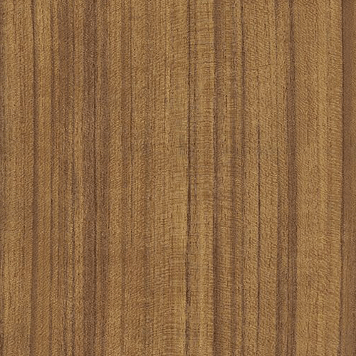 TEAK-(1)